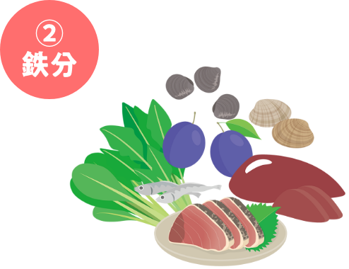 鉄分