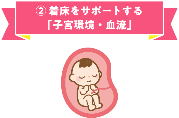 ② 着床をサポートする「子宮環境・血流」